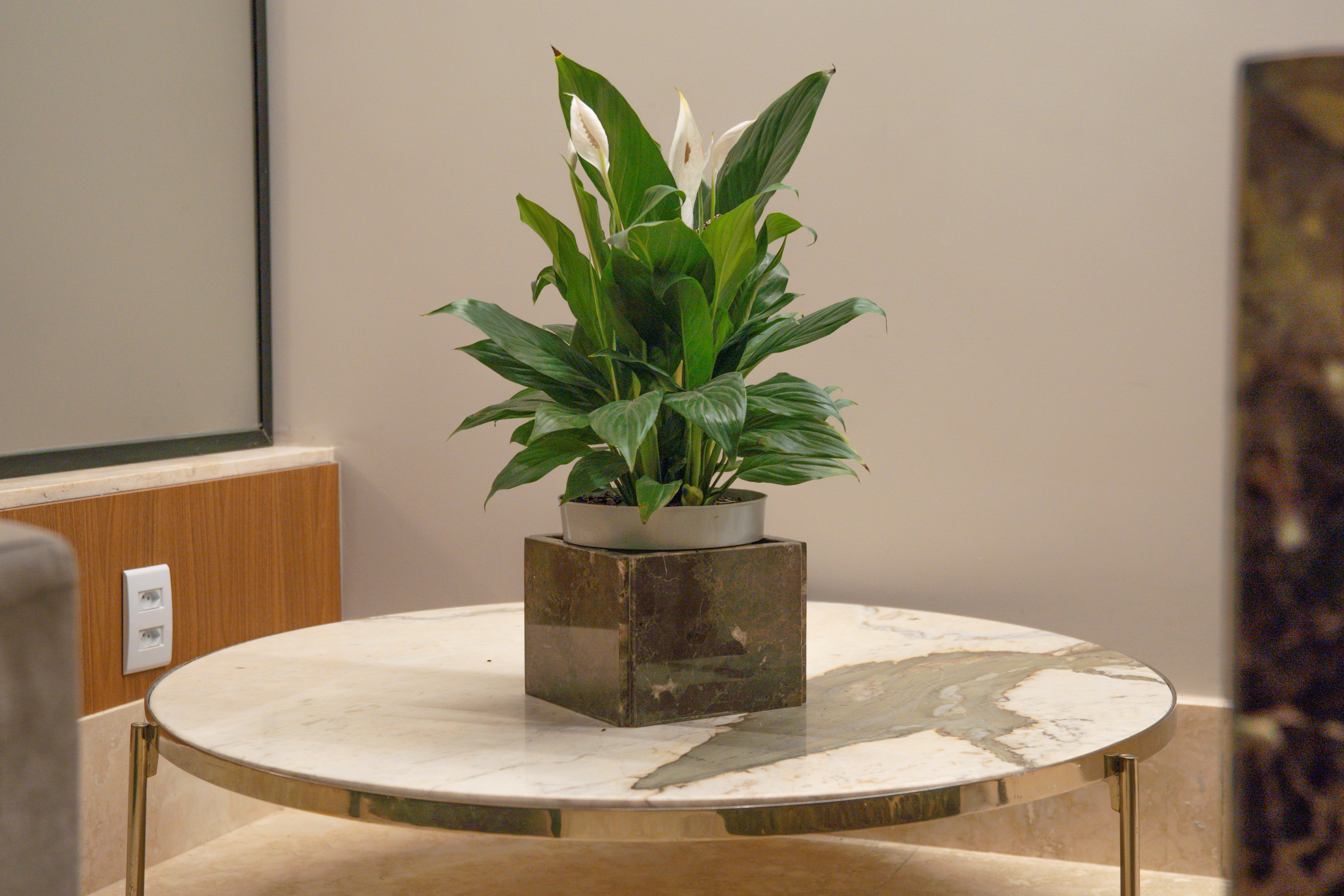 Statuario Side Table